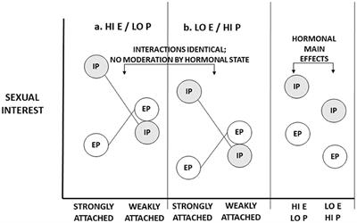 Women's Estrus and Extended Sexuality: Reflections on Empirical Patterns and Fundamental Theoretical Issues